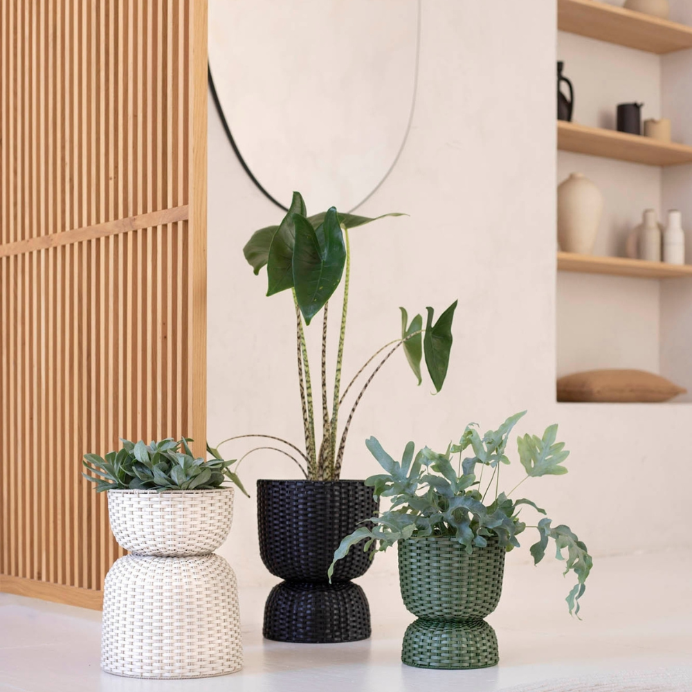 Pots & Planters