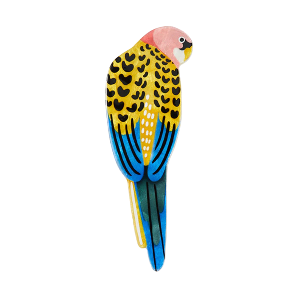 Aerial Yellow Rosella Wall Art