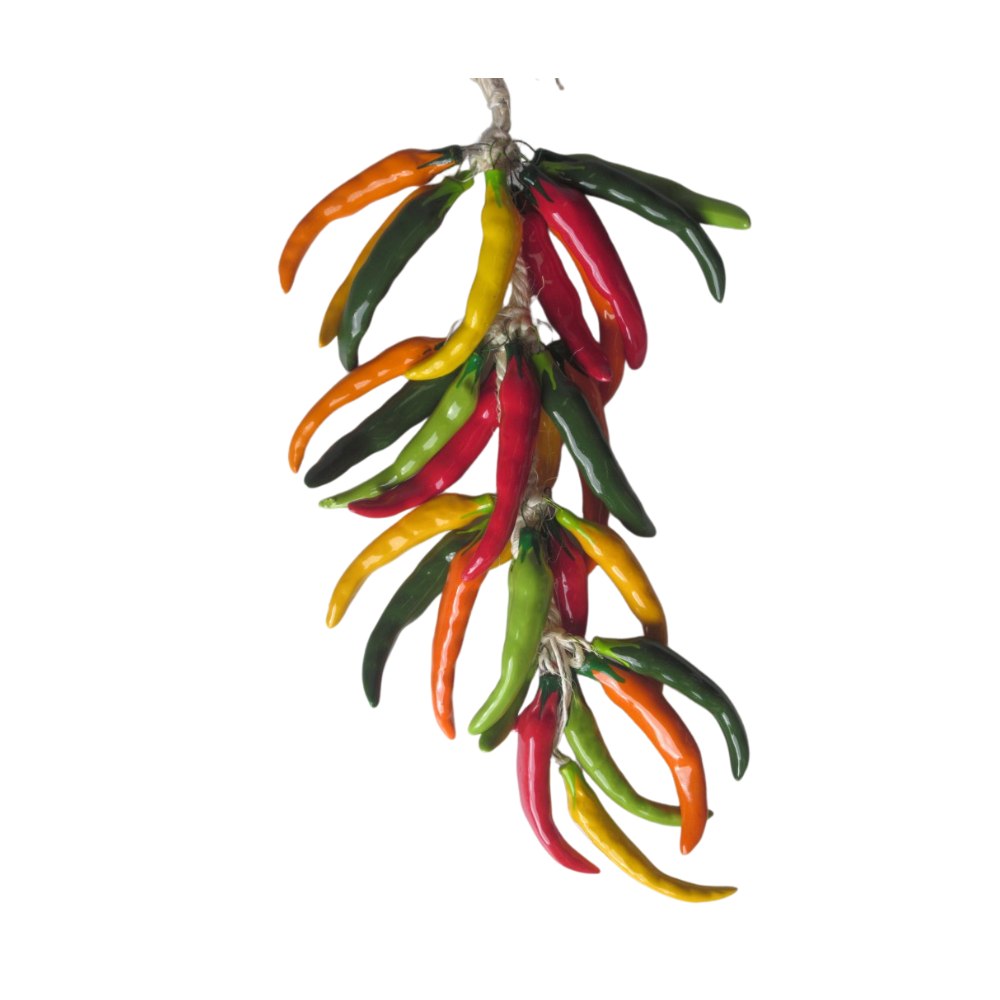 String of Chillies - Thin Mixed Colours | Honeysuckle Store Australia