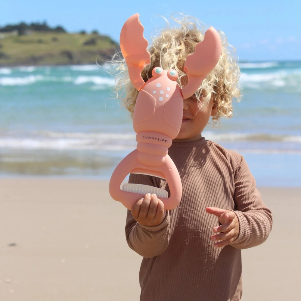 Sand Claws - Lobster Coral | Honeysuckle Store Australia