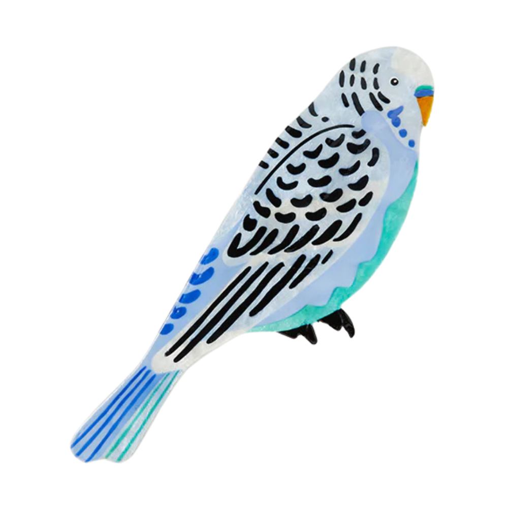 Aerial Budgie Wall Art