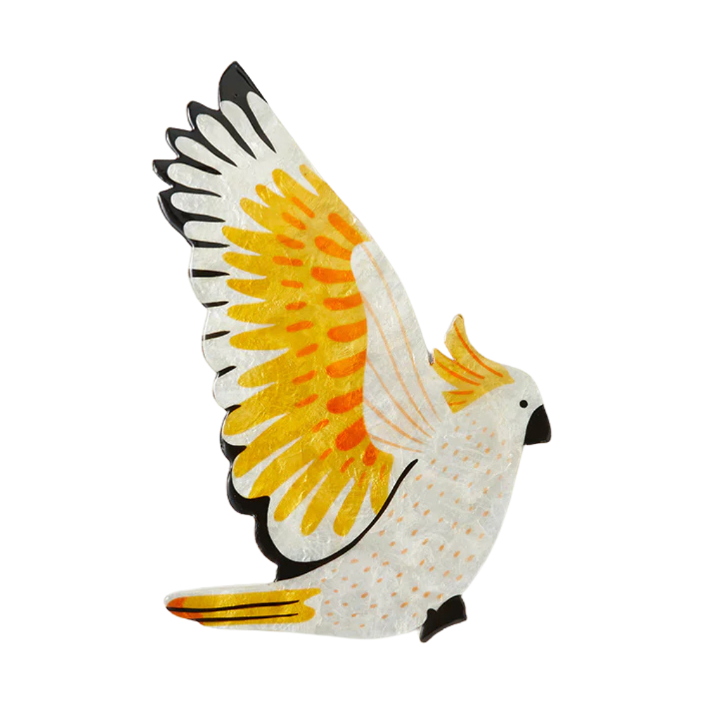 Aerial Cockatoo Wall Art