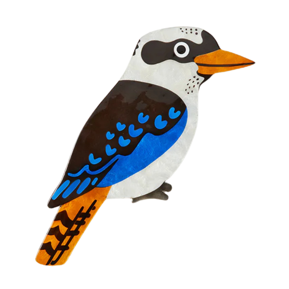 Aerial Kookaburra Wall Art